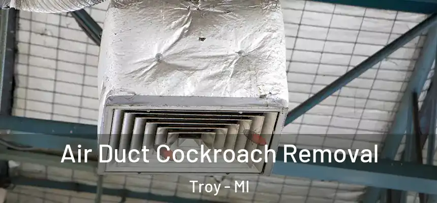  Air Duct Cockroach Removal Troy - MI