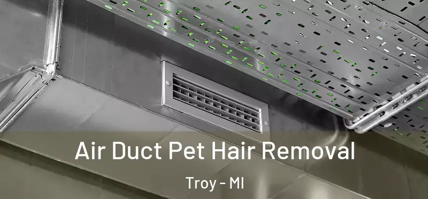  Air Duct Pet Hair Removal Troy - MI