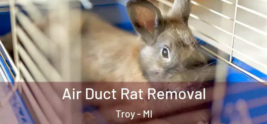 Air Duct Rat Removal Troy - MI