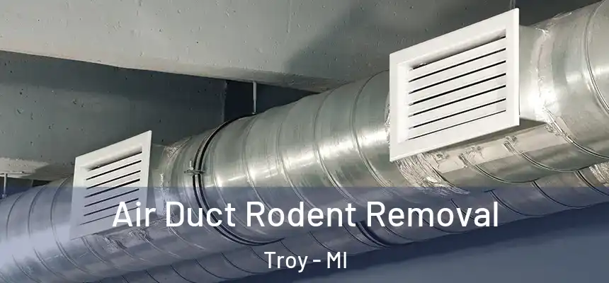 Air Duct Rodent Removal Troy - MI