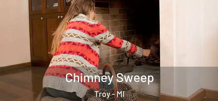  Chimney Sweep Troy - MI
