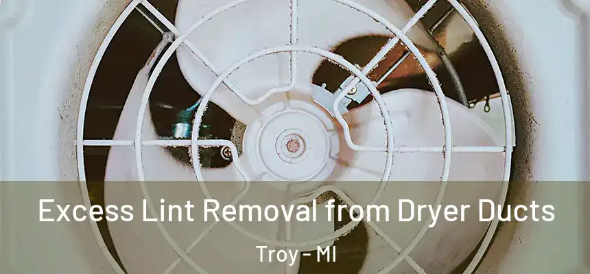 Excess Lint Removal from Dryer Ducts Troy - MI