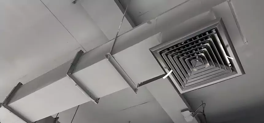 Our Rodent Droppings In Vents Services in Troy, MI