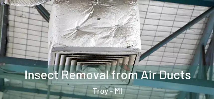 Insect Removal from Air Ducts Troy - MI