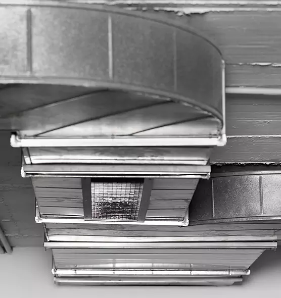 Professional Air Duct Pest Removal in Troy, MI