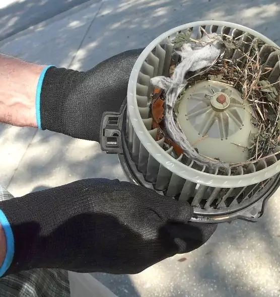 About Air Duct Rat Removal in Troy, MI