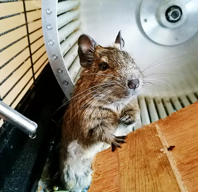 Why Homeowners & Businesses Trust Us Troy, MI?