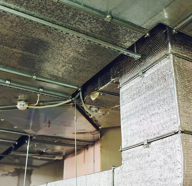 Why Homeowners & Businesses Trust Us in Troy, MI?